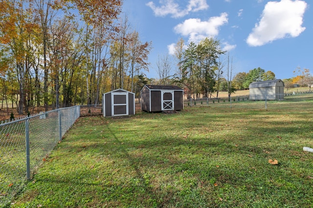 view of yard featuring a shed