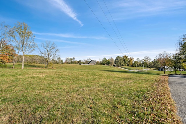 view of yard with a rural view