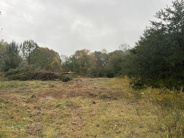 1414 Valley View Rd, Ashland City TN, 37015 land for sale