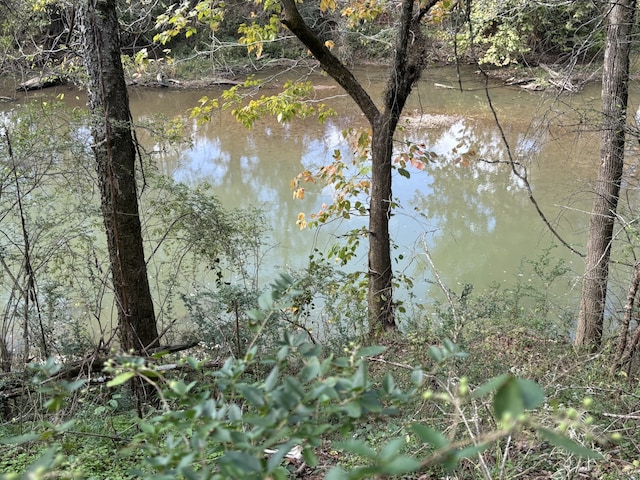 view of water feature