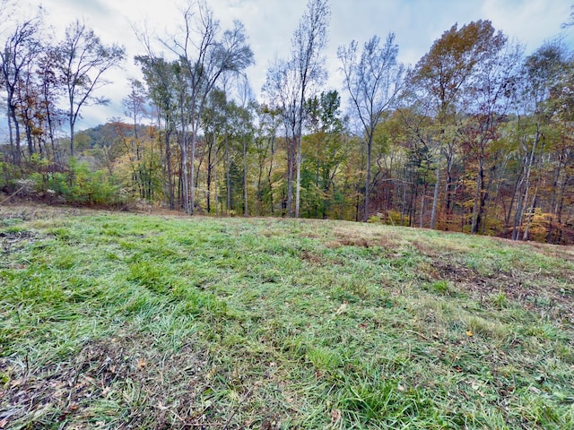 0 Hardscrabble Ln, Woodbury TN, 37190 land for sale