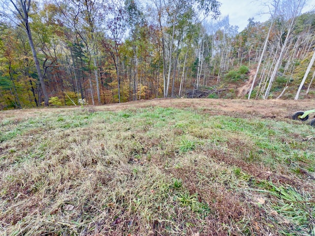 Listing photo 3 for 0 Hardscrabble Ln, Woodbury TN 37190