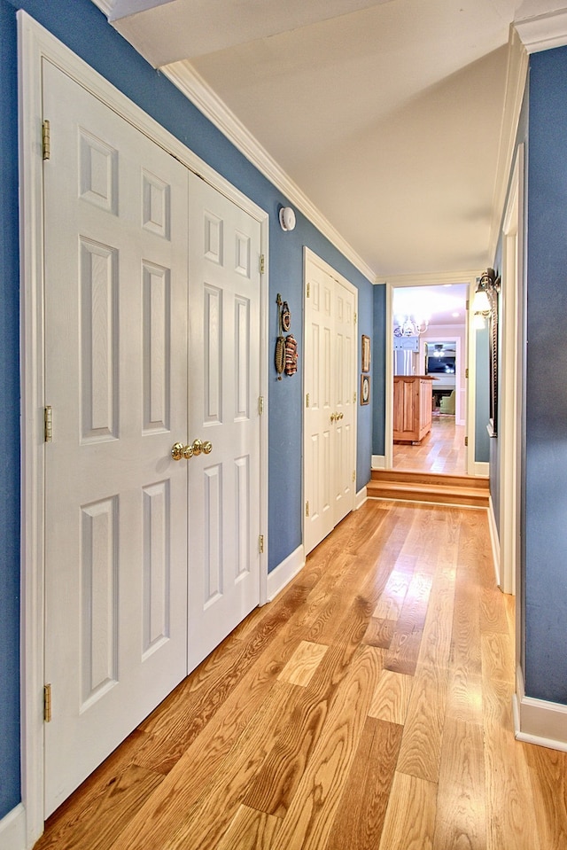 corridor featuring ornamental molding and light hardwood / wood-style flooring