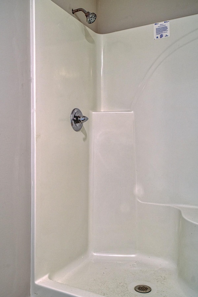 10309 Goff Ridge Rd, Baxter, TN 38544 - full bath featuring a stall shower