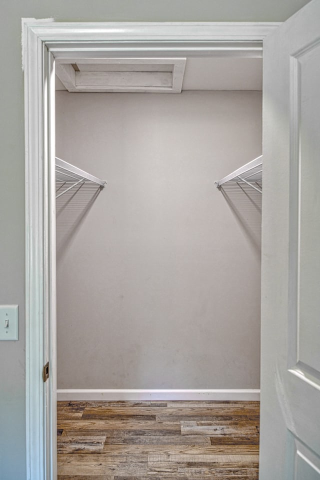 walk in closet with dark hardwood / wood-style floors