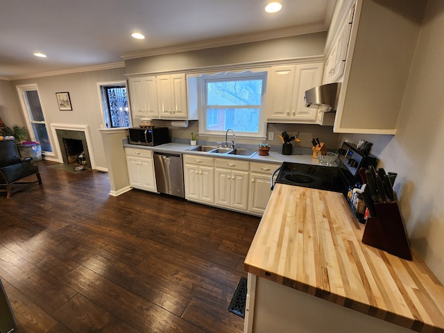 kitchen featuring butcher block countertops, white cabinetry, appliances with stainless steel finishes, dark hardwood / wood-style flooring, and sink