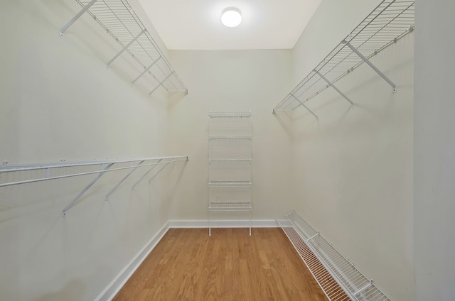 spacious closet with hardwood / wood-style flooring