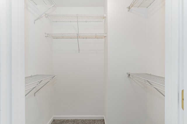 walk in closet featuring carpet flooring