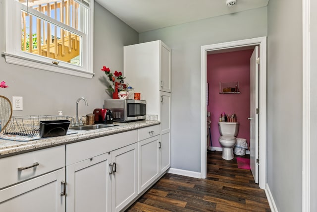 interior space featuring sink, wood-type flooring, and toilet