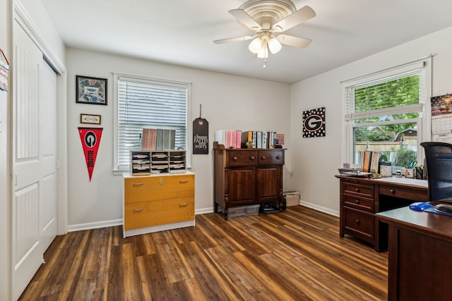 office with dark hardwood / wood-style floors and ceiling fan