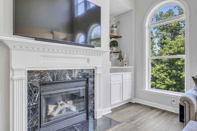 details featuring hardwood / wood-style flooring and a premium fireplace