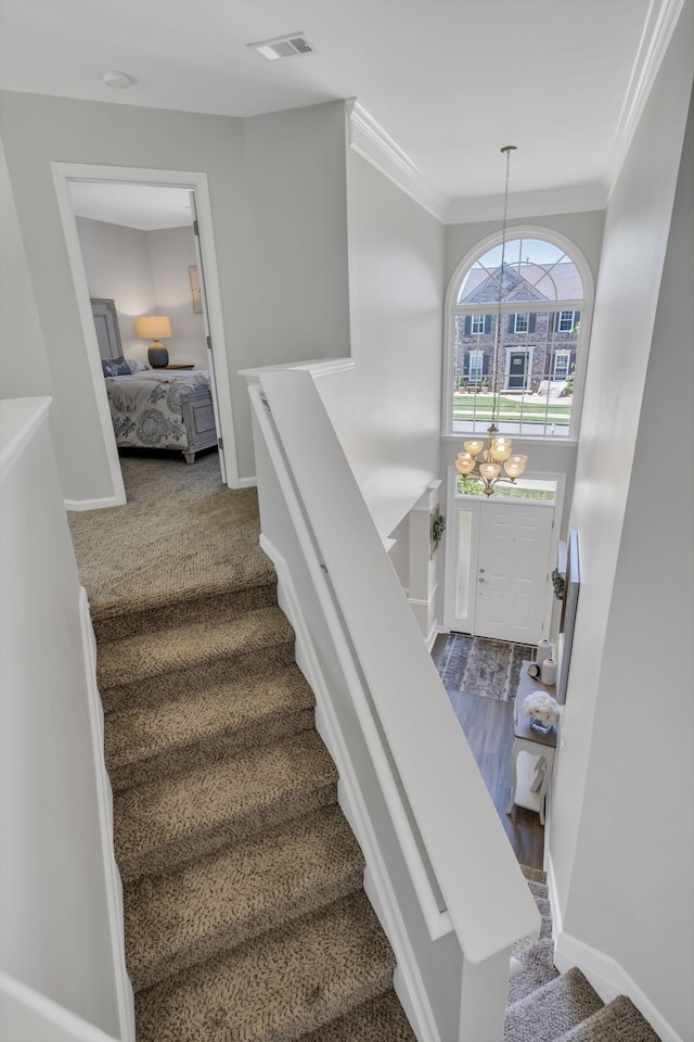 staircase featuring an inviting chandelier, ornamental molding, and carpet floors