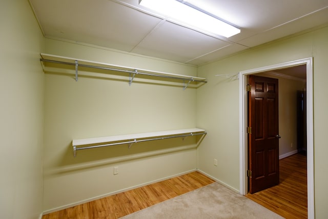 walk in closet featuring light hardwood / wood-style floors