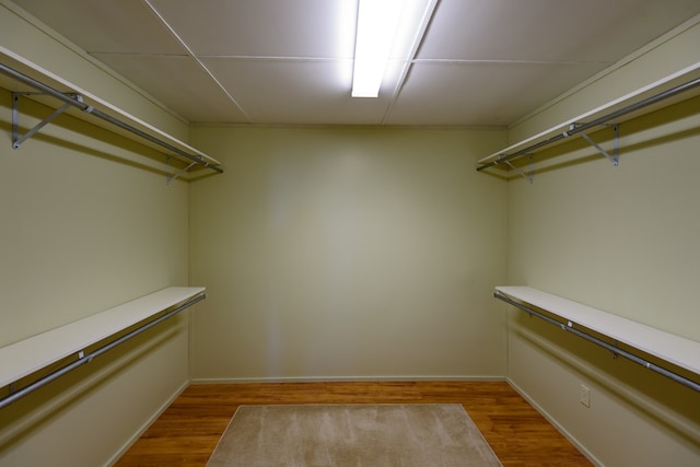 walk in closet with light wood-type flooring