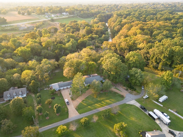 bird's eye view