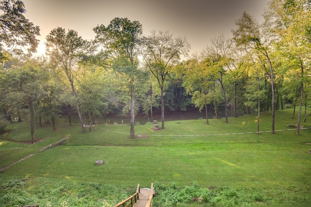 view of yard at dusk