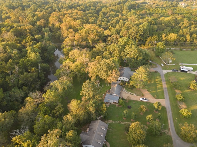 bird's eye view