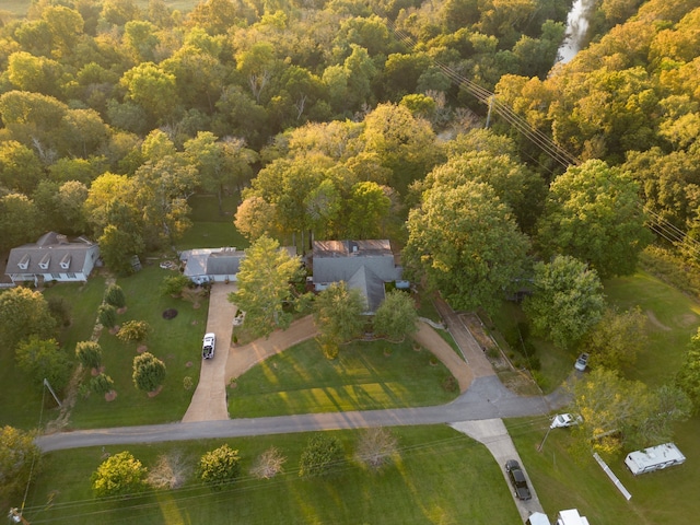 bird's eye view