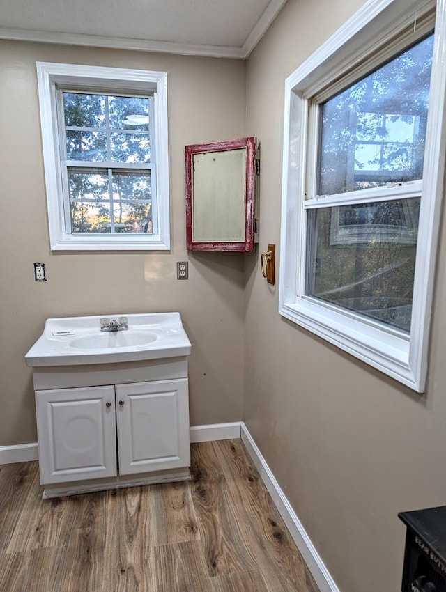 bathroom with vanity, hardwood / wood-style floors, and ornamental molding