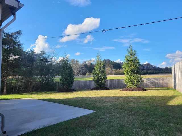 view of yard featuring a patio