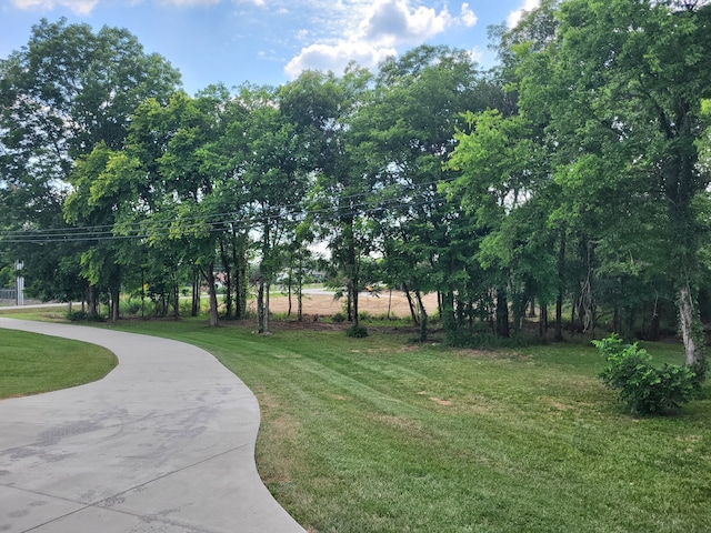 view of property's community with a yard