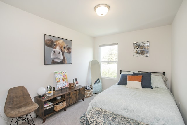 bedroom with carpet floors