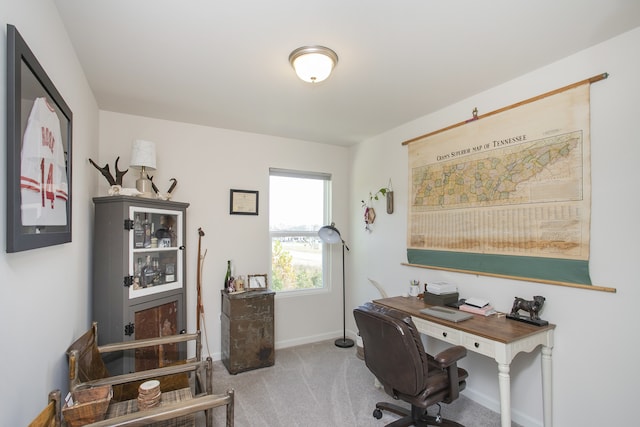 office featuring light colored carpet