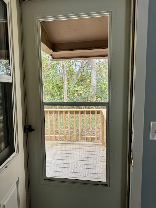 entryway with a wealth of natural light