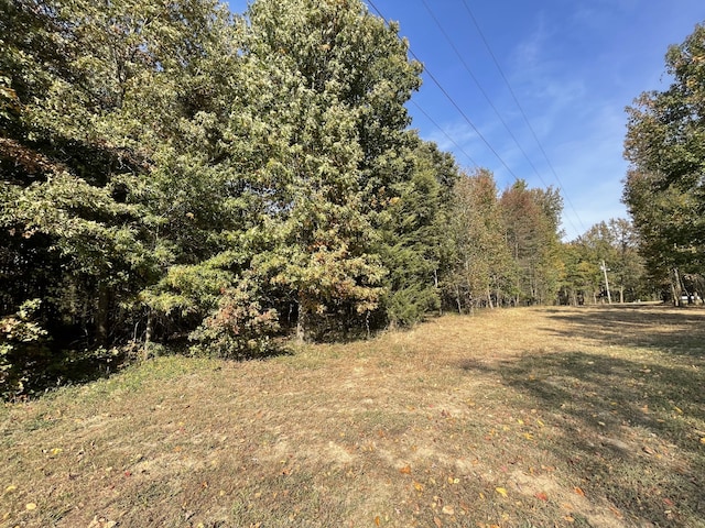 view of local wilderness