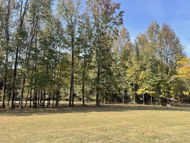 view of local wilderness