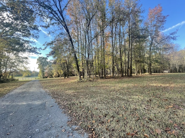 view of road