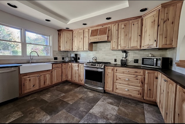 kitchen with a tray ceiling, appliances with stainless steel finishes, sink, and custom exhaust hood