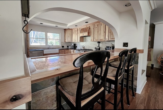 kitchen featuring sink, light brown cabinets, stainless steel appliances, dark wood-type flooring, and premium range hood