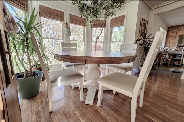 dining room with a wealth of natural light and dark hardwood / wood-style flooring