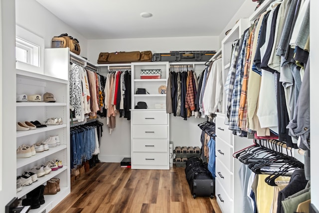 spacious closet featuring dark hardwood / wood-style floors