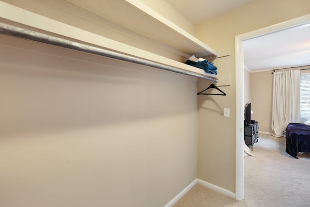 spacious closet featuring light carpet