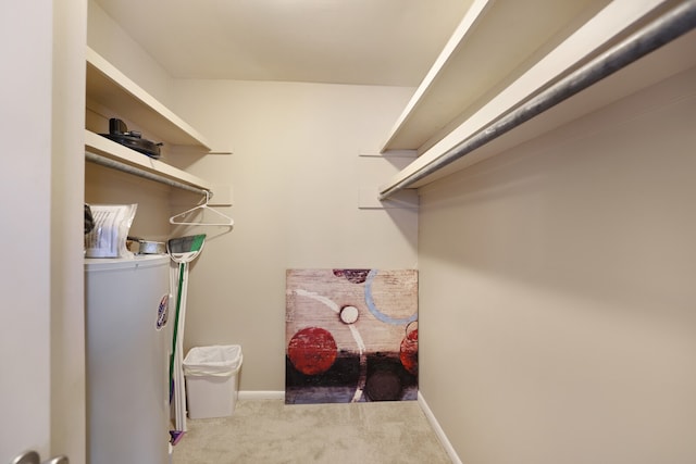 spacious closet featuring light carpet