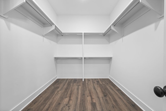 walk in closet with dark hardwood / wood-style flooring