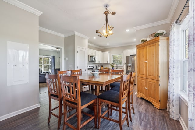 dining area with dark wood-type flooring, a wealth of natural light, electric panel, and ornamental molding