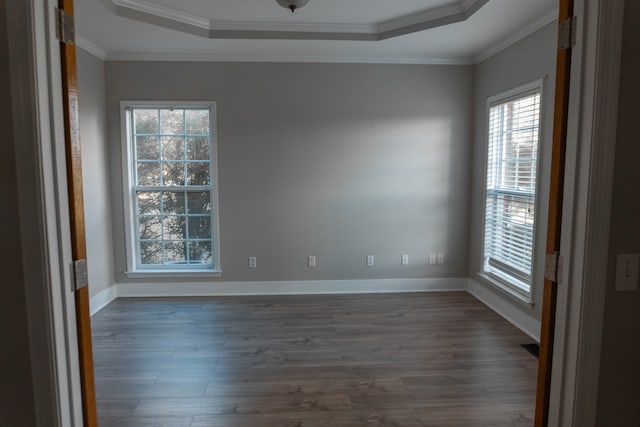 spare room with a wealth of natural light, crown molding, a tray ceiling, and dark hardwood / wood-style flooring