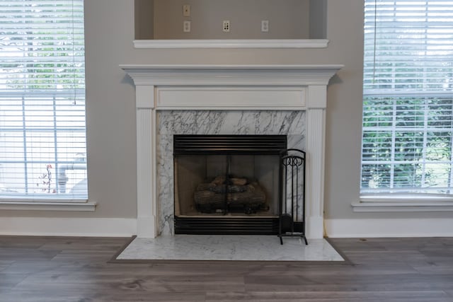 room details with hardwood / wood-style flooring and a fireplace