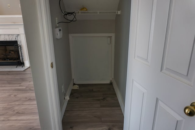 hallway featuring wood-type flooring