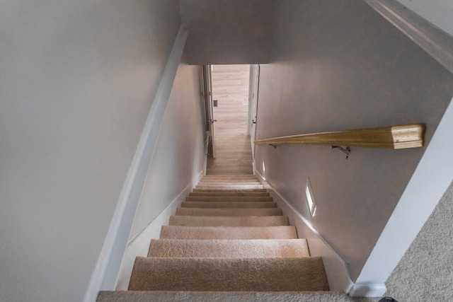 staircase with carpet floors