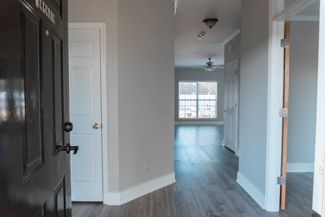 foyer with hardwood / wood-style flooring and ceiling fan