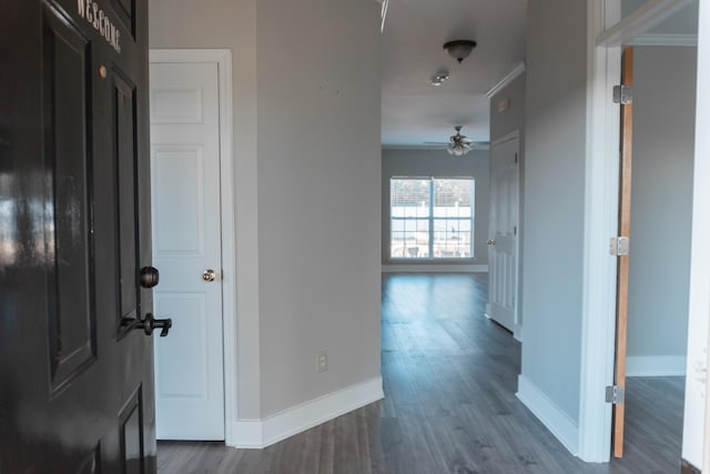101 Brookstone Dr, Burns, TN 37029 - hallway with baseboards and dark wood finished floors