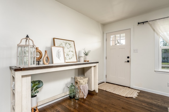 foyer featuring dark hardwood / wood-style floors