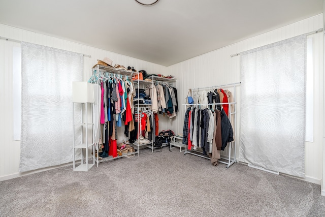 spacious closet featuring carpet flooring