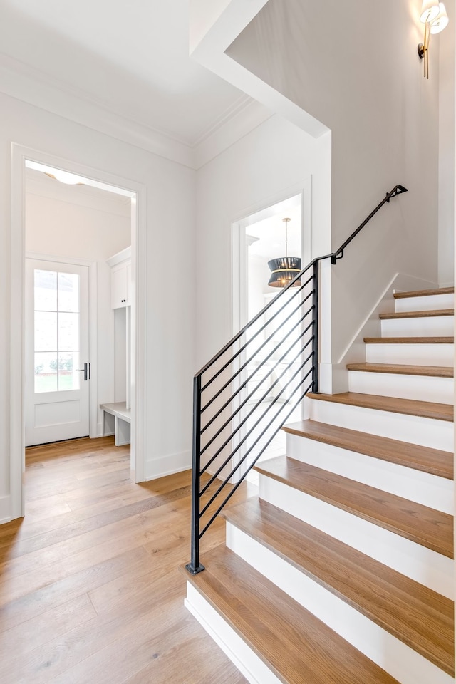 stairs with hardwood / wood-style floors and ornamental molding