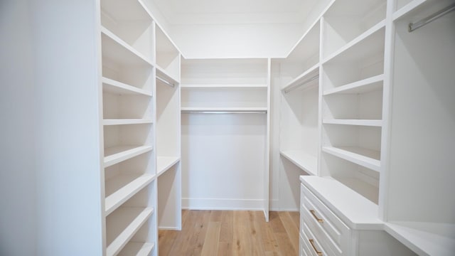 walk in closet with light wood-type flooring