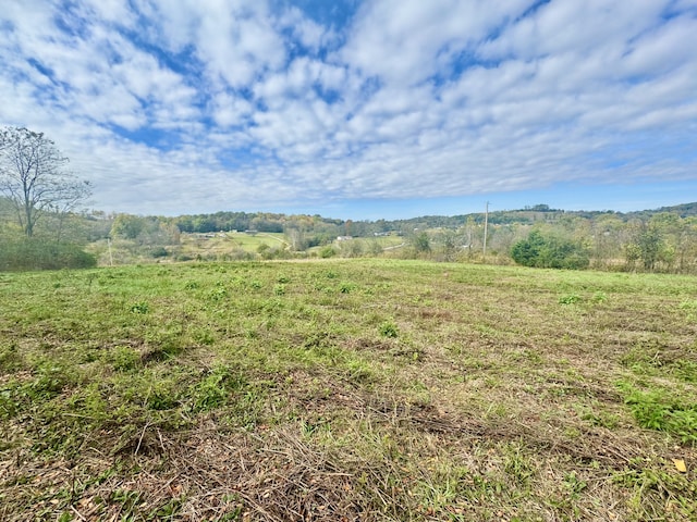 770 Dalton Hollow Rd, Hartsville TN, 37074 land for sale